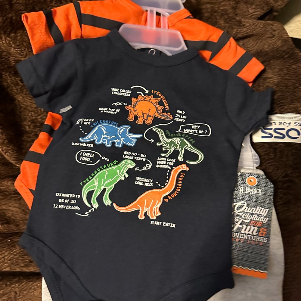 Baby 2 piece onesie set with shorts